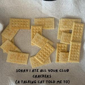 Sorry I Ate All Your Club Crackers (A Talking Cat Told Me To)