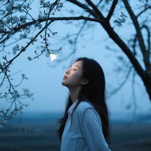 如果你是我的传说 (爱吃油麦菜 Remix)