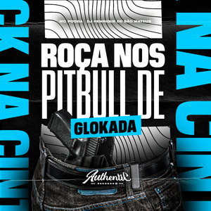 Roça nos Pitbull de Glokada