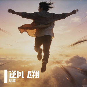 逆风也飞翔