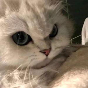 trim.1384748B-2E34-46CC-AD5D-0AE697475E92