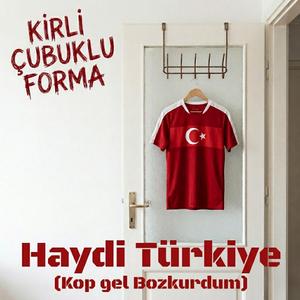 Haydi Türkiye (Kop Gel Bozkurdum)