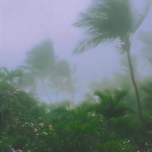 Ambient 1