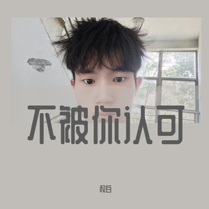 不被你认可伴奏