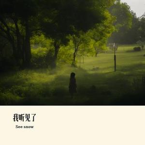 我听见了