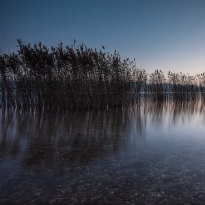 心という名の不可解