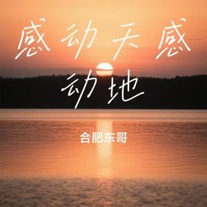 感动天感动地 (Cover 宇桐非)