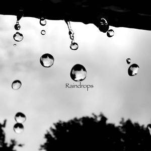 Raindrops