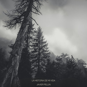 Buscando en la Oscuridad