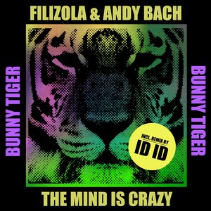 The Mind Is Crazy (ID ID Remix)