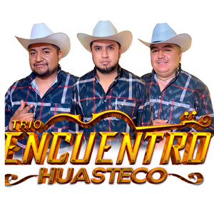 NUMERO EQUIVOCADO (Demo)