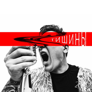Тишины