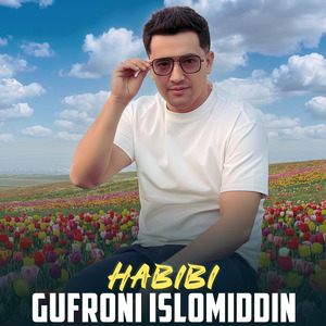Habibi