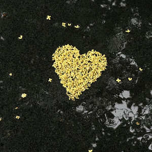 放（温柔版 片段）（翻自 我是土豆）