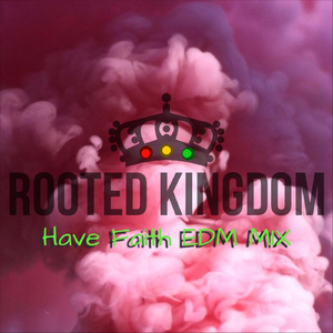 Have Faith (EDM Mix) [feat. Lil Luz]