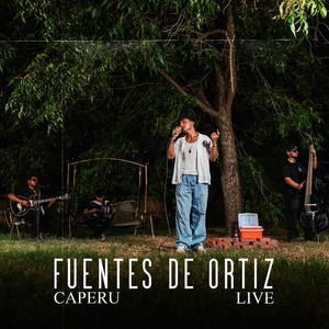 Fuentes de Ortiz