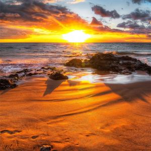 星空小夜曲Serenade of Stars