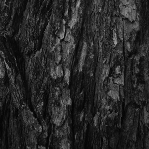 your eyes (A Capella)