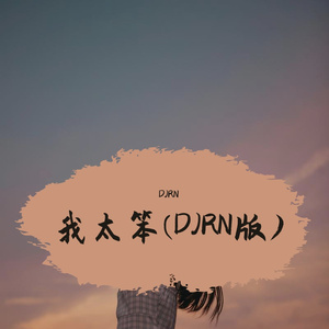 我太笨（DJRN版）