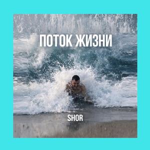 ПОТОК ЖИЗНИ