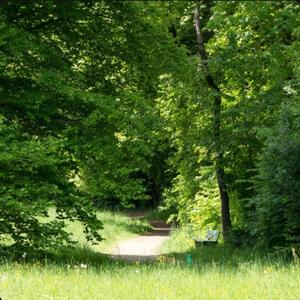 Naturetrip