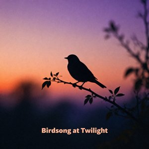 Birdsong at Twilight