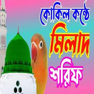 কোকিল কন্ঠে মিলাদ শরীফএই বছরের সেরা মিলাদ শরীফমিলাদ