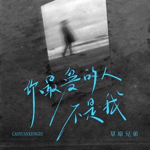 你最爱的人不是我 (DJ阿尼版)