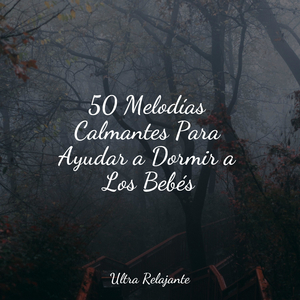 Amanecer en La Arenosa Playa