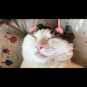 我喜欢上你时的内心活动