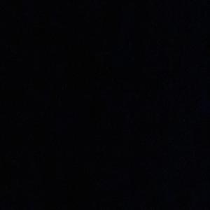 fts (demo)