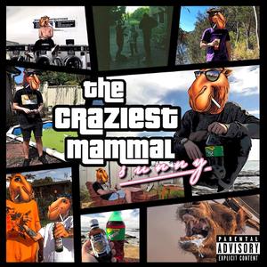 Areba (feat. Muzzy)