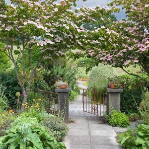 一个人在森林小屋的花园里跳舞