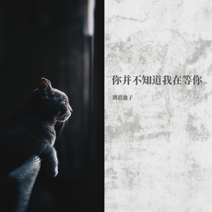 你并不知道我在等你