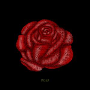 Infindo (feat. Evolute)