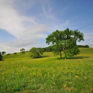 我的回忆也属于你的 (阅读轻音乐)