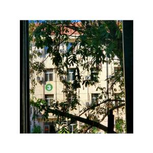 夏天的原因（Y2 of summer）