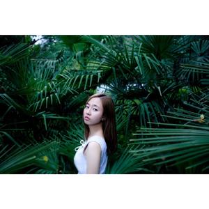 疯女人的马戏团