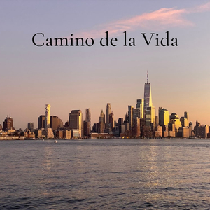 Adormecimiento
