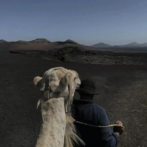 【Free】skyline heat