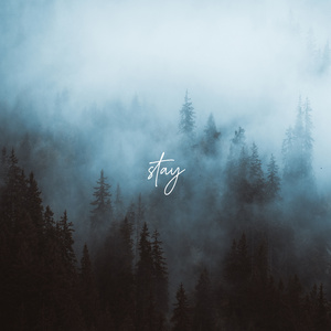 Stay