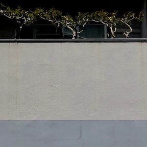 Die Karpfen Streamer