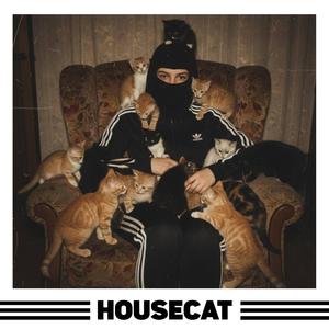 HOUSECAT