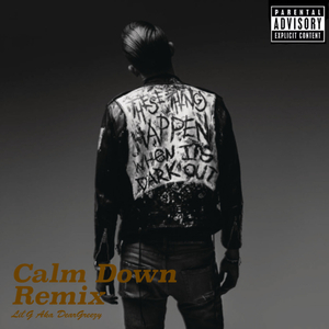 Calm Down (Remix)