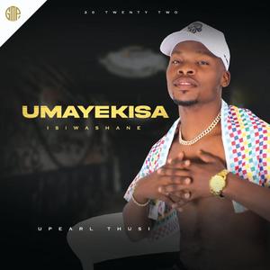Ungayithethisi