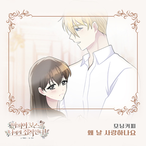 왜 날 사랑하나요