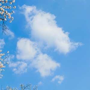 4월의 마지막에서