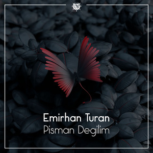 Pişman Değilim (Remix)