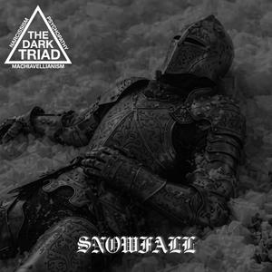 Snowfall