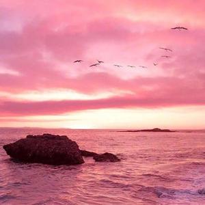 最酷（片段版）（翻自 马上上）